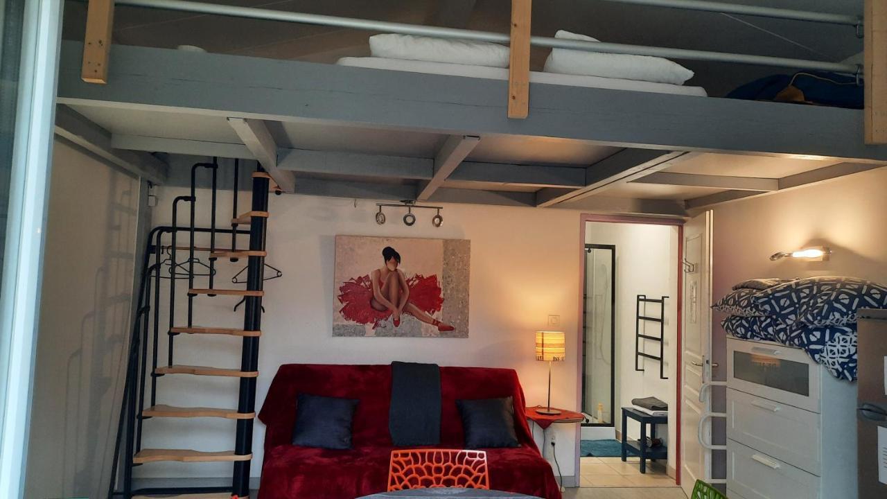 Dormir A Montauban Logements Carreyrat Calme Et Verdoyant Luaran gambar